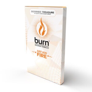 Табак для кальяна Burn Berried Treasure (Беррид Трэжэр), 100 гр.